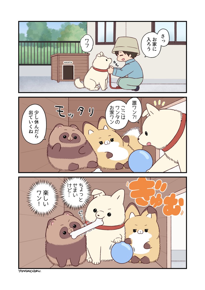 yamada_doujin's tweet photo. ワンタまた遊ぼう https://t.co/ZgtmfzlOlm