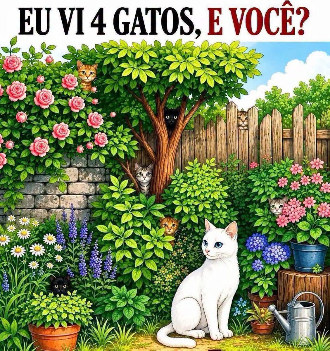 CiceroTheeagle's tweet photo. Eu descobri 5
Veja se vc consegue descobrir mais? https://t.co/ad7N6pzXa7