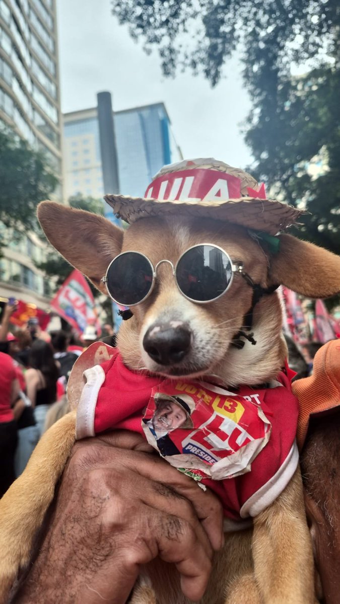 iS2mxmtoon's tweet photo. minha mãe ta na caminhada do lula e me mandou isso https://t.co/YPS6goaUme