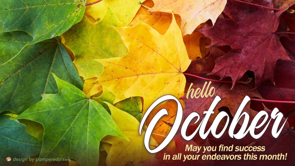 pamperedpixels's tweet photo. Hello my lovely friends😁👋
My books are now open for October!✍️

📈social media assistance (X/Insta/Bluesky)
🖥️web design/revamps/repairs
🎨custom graphics, flyers, mailers
💌newsletters https://t.co/wxjDJokJNT