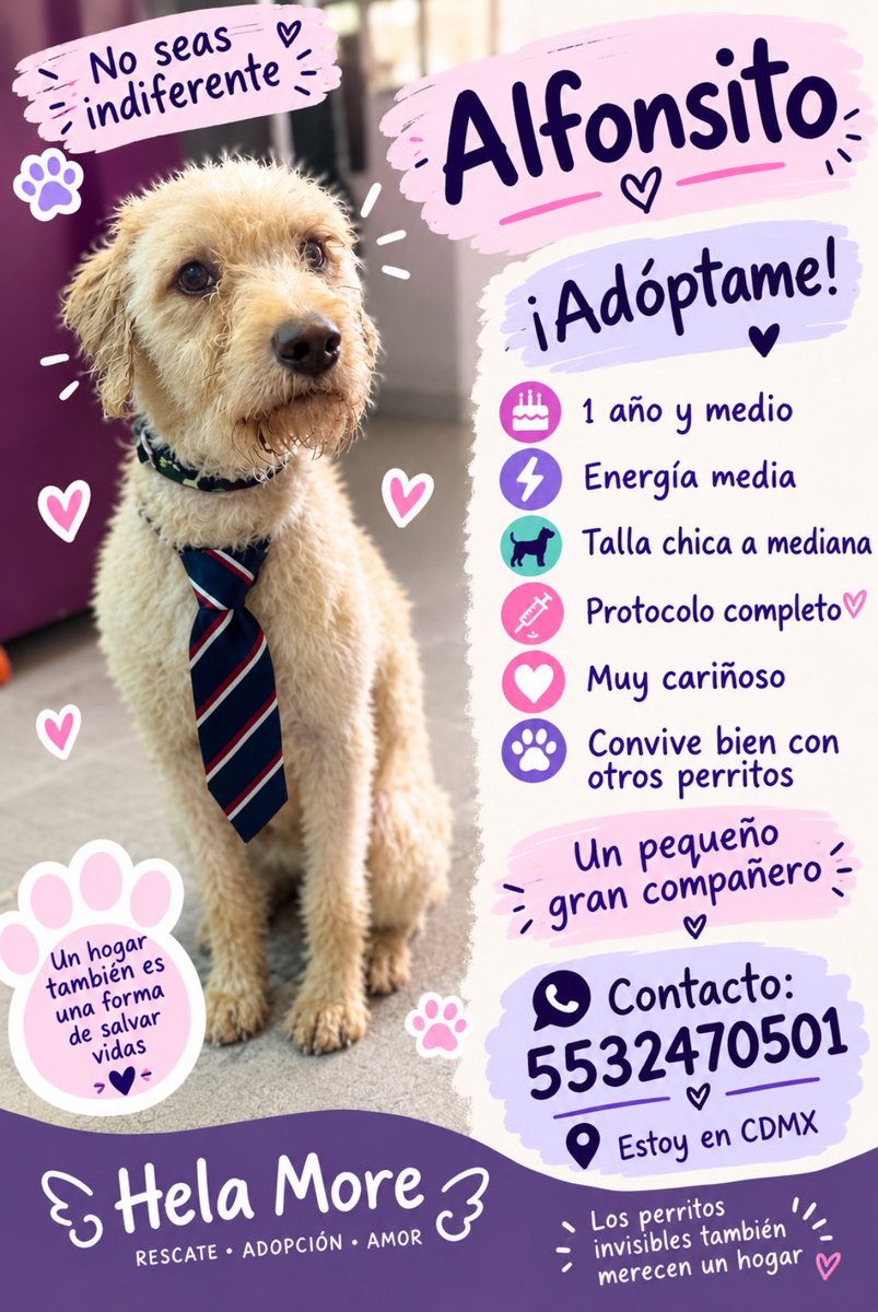 HELA_MORE's tweet photo. ¿Nos ayudan a compartir a Alfonsito? 

🥹🩷 https://t.co/M4sXinF86r