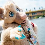 Photo by Vanillin Bear (@technicwuff)