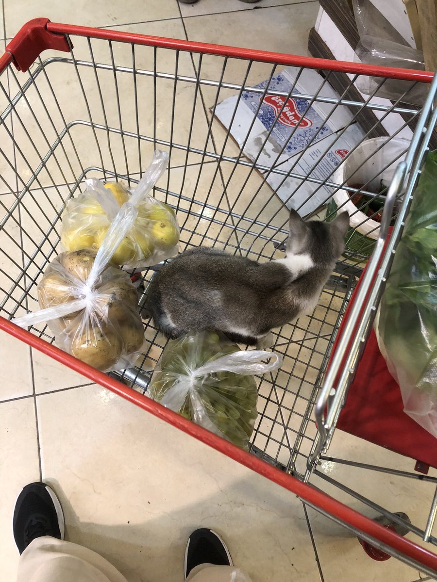 Bettyybeg's tweet photo. Mamaları aldık gidelim balım🥰 https://t.co/M57eb5Z8nn