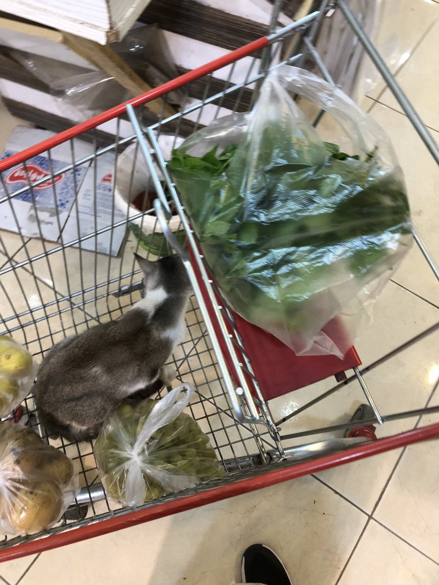 Bettyybeg's tweet photo. Mamaları aldık gidelim balım🥰 https://t.co/M57eb5Z8nn