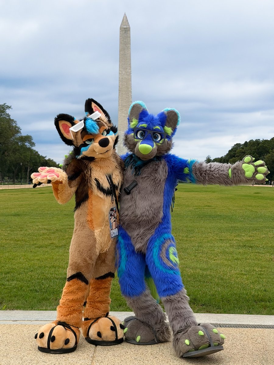 RiggyFolf's tweet photo. Yote and toon folf introducing the big doink of America 🤪  

🌵🐶@dexter_dior 
📸 @TegonDrake 

#Fursuitfriday https://t.co/szKvssBmW0