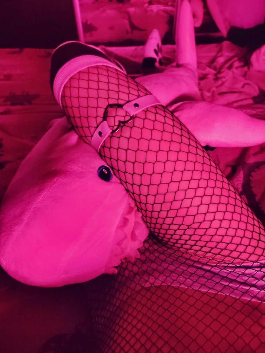 izalice_'s tweet photo. Cwutie pwushie :3333
#femboy https://t.co/sWi2dMBe4n