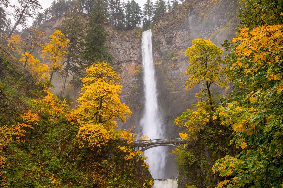 GoDucksnet's tweet photo. Don't cry because summer is over
Be happy you're not a UW or USC fan this Autumn
We run the #BestCoast https://t.co/FFeg6BNjl9