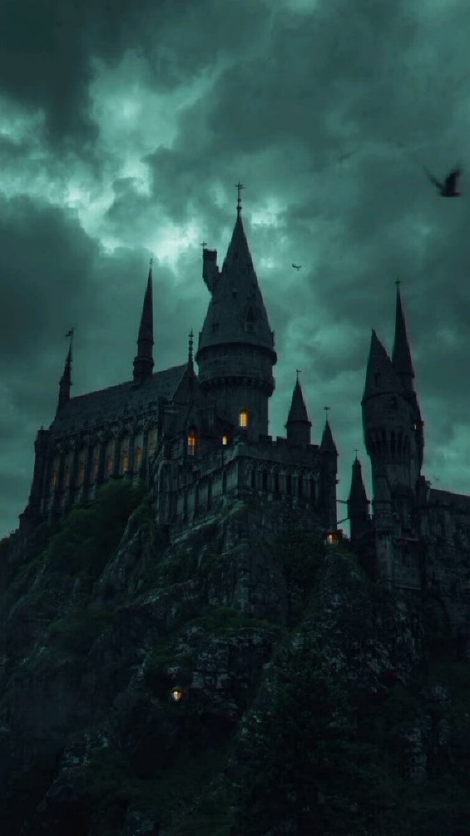 TheDailyHPotter tweet picture
