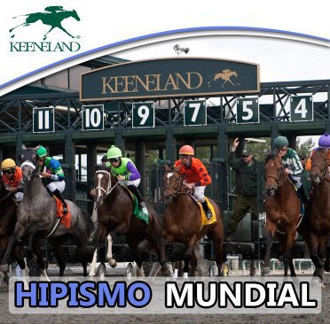 1HipismoMundial's tweet photo. #Hipismo 
Nos agradan para hoy viernes #2Oct en #Keeneland
1) 3.8.4.1
2) 1.2.4
3) 7.2
4) 4.12
5) 10.11.1
6) 8
7) 4.10.1
8) 5.6.3
9) 5
10) 12.11.9.7
🙂🍀🙏 https://t.co/BMLJwd4ap1