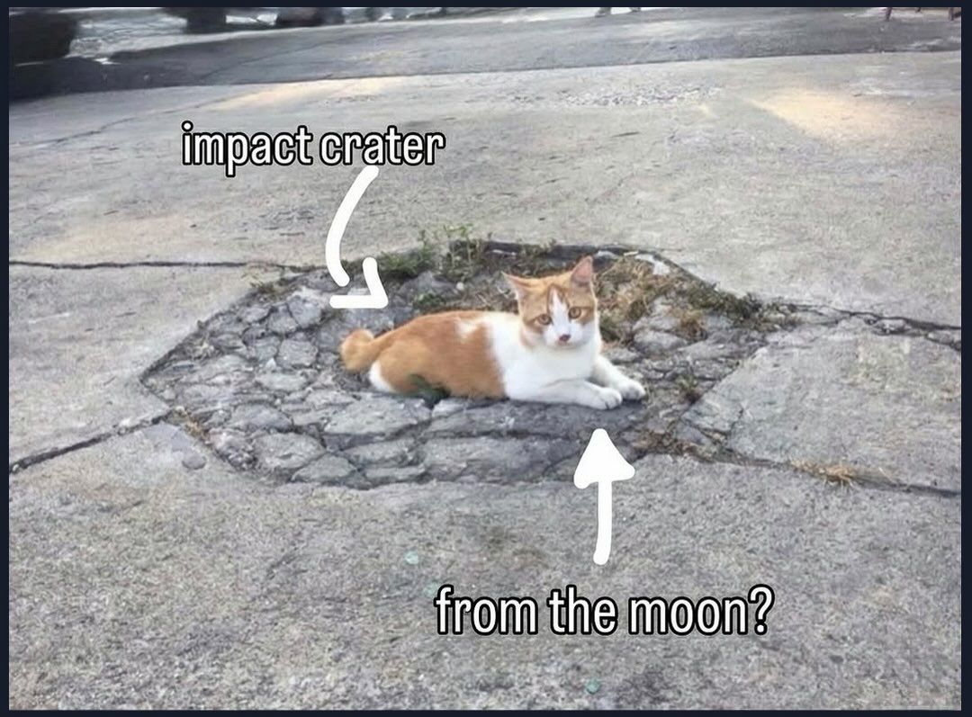 nocontextmemes's tweet photo. https://t.co/R4HBvX30IM