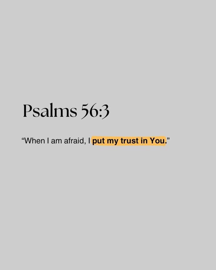 TheBibleDailyW's tweet photo. https://t.co/7SPMPfQk7T