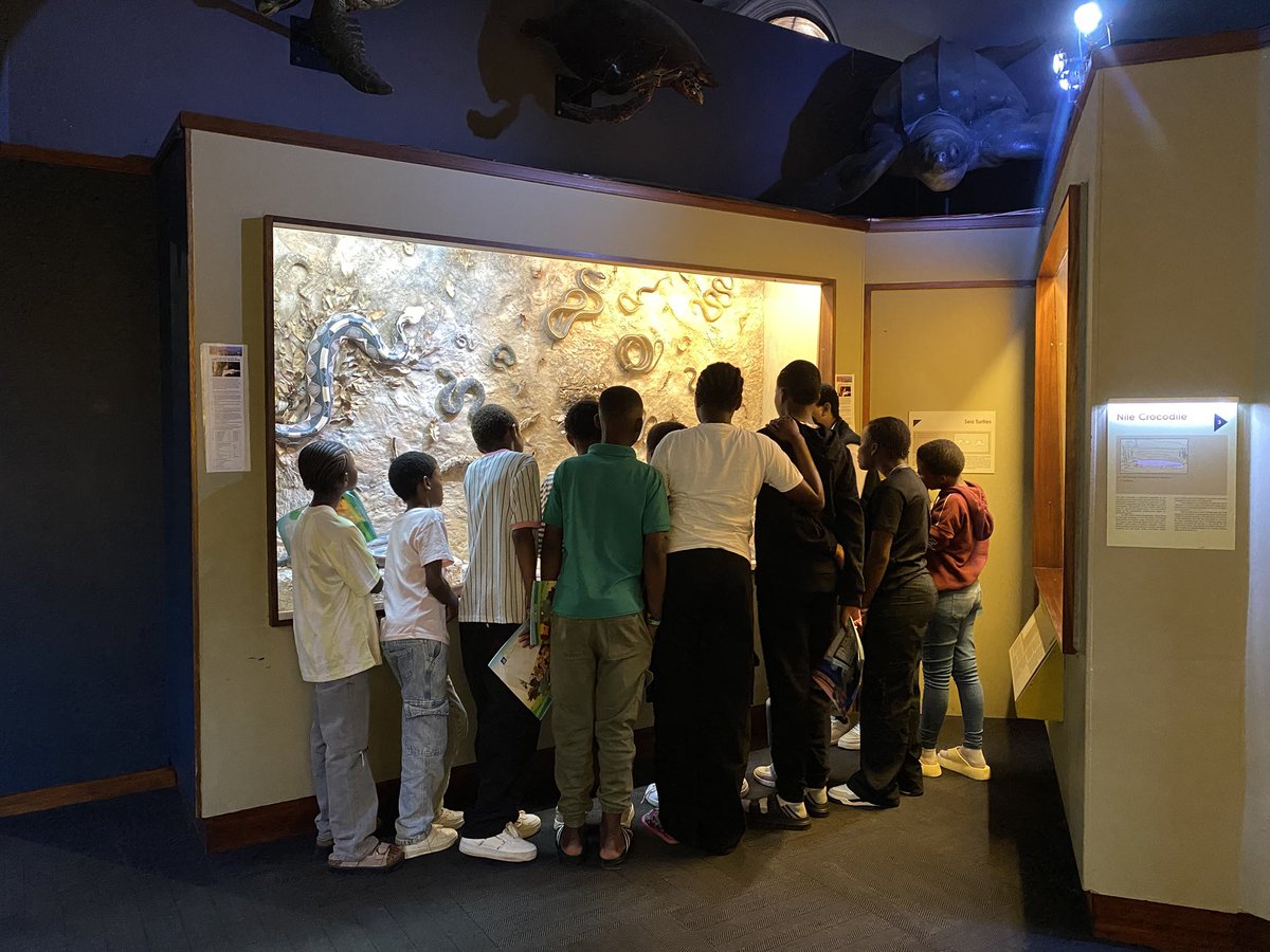 LBMancoba's tweet photo. Students explore wildlife exhibits at the Durban Natural Science Museum as the city marks World Animal Day. The event highlights South Africa’s natural heritage and the importance of protecting wildlife.

#WorldAnimalDay #Durban #Wildlife #Conservation https://t.co/3jzoFFJZX3