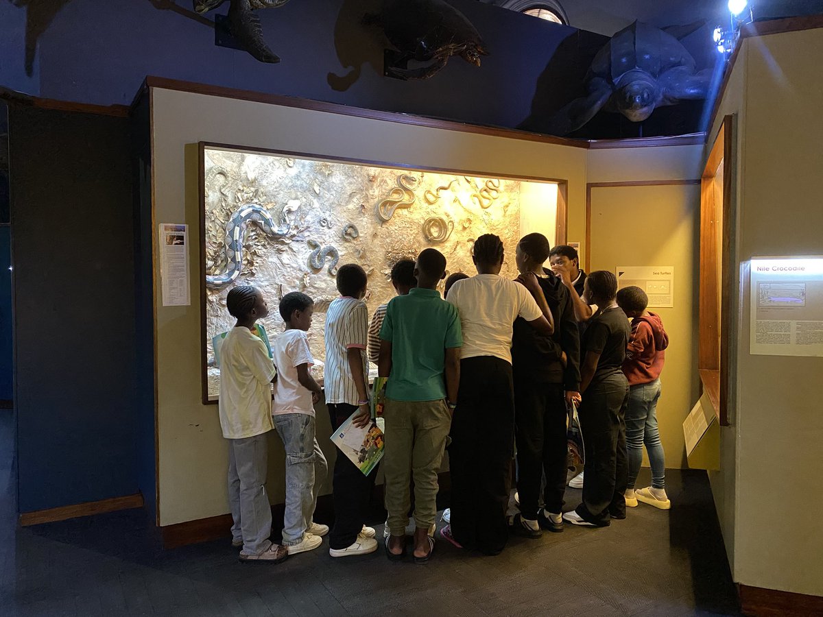 LBMancoba's tweet photo. Students explore wildlife exhibits at the Durban Natural Science Museum as the city marks World Animal Day. The event highlights South Africa’s natural heritage and the importance of protecting wildlife.

#WorldAnimalDay #Durban #Wildlife #Conservation https://t.co/3jzoFFJZX3