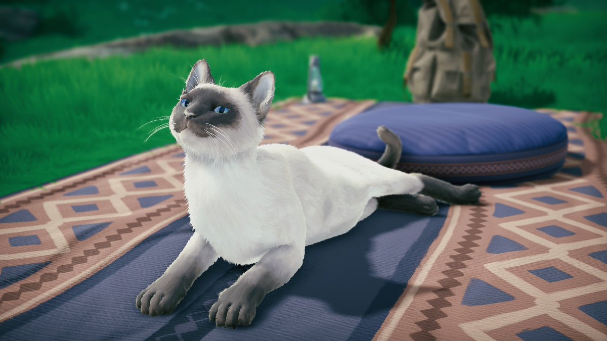 salon360pc's tweet photo. ゲーム内の動物をほぼ撮り終えたので、しばらく猫多めになります。
#Seclusa https://t.co/87M3xHnXvW