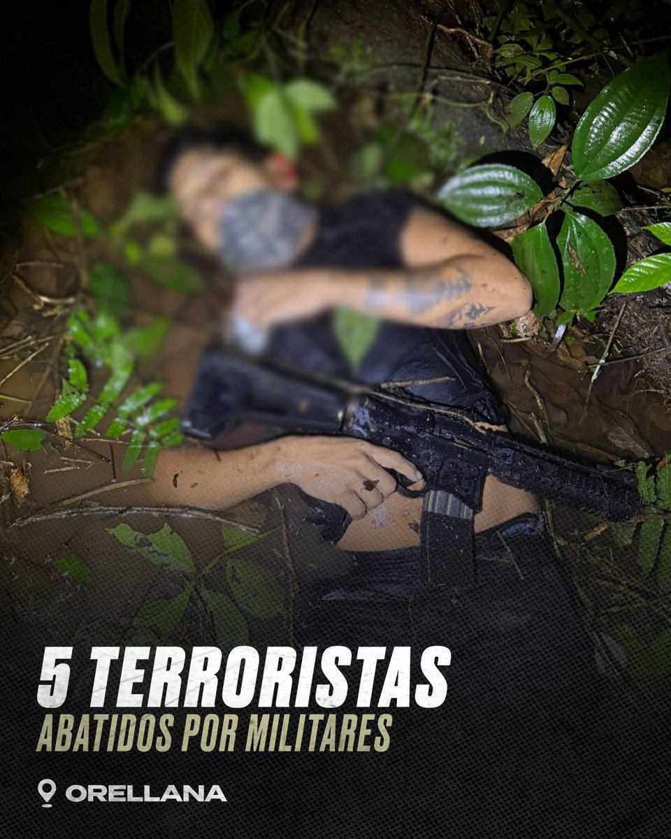 DefensaEc's tweet photo. 🚨 ¡5 TERRORISTAS ABATIDOS POR MILITARES!

El oro ilegal que financiaba a las mafias y sus actividades criminales fue frenado en Orellana. 

➡️ Cinco peligrosos delincuentes de una estructura vinculada a “Los Lobos” y una facción de los Comandos de la Frontera fueron abatidos. https://t.co/AWatKHDqgI