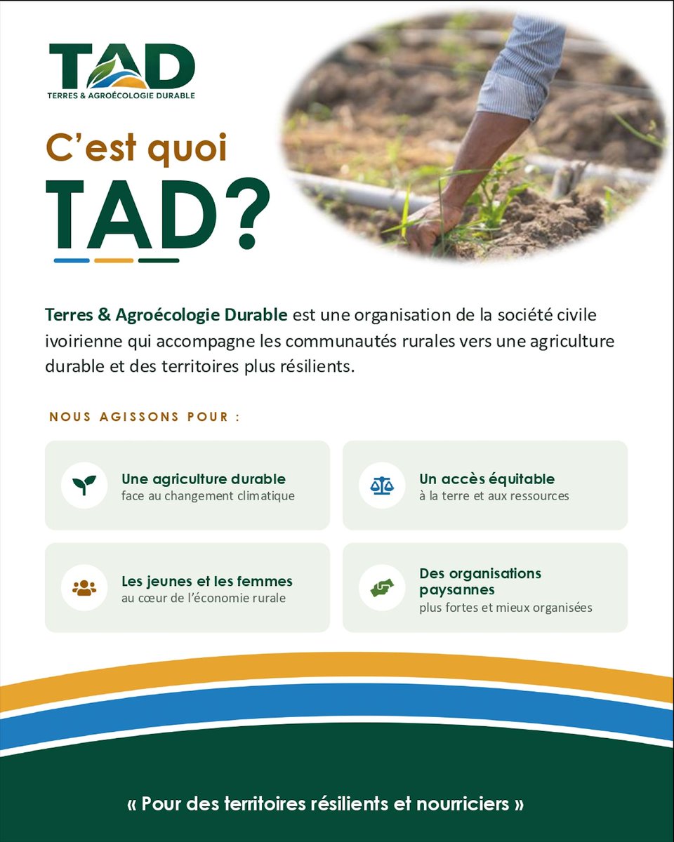 TAD_org's tweet photo. 🌱 C'est quoi TAD?
Terres et Agroécologie Durable est une organisation de la socièté civile ivoirienne qui veut accompagner les communautés rurales vers une agriculture durable et des territoires résilients 🇨🇮 #agroécologie #développementrural #agriculture #foncieréquitable https://t.co/mp35FyRspR