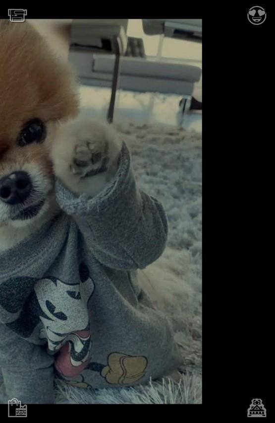 pinaynn's tweet photo. ⛲Brew tea Calms, warm128617The dog runs with a ball in the snow in winter https://t.co/PqruvEgXTs