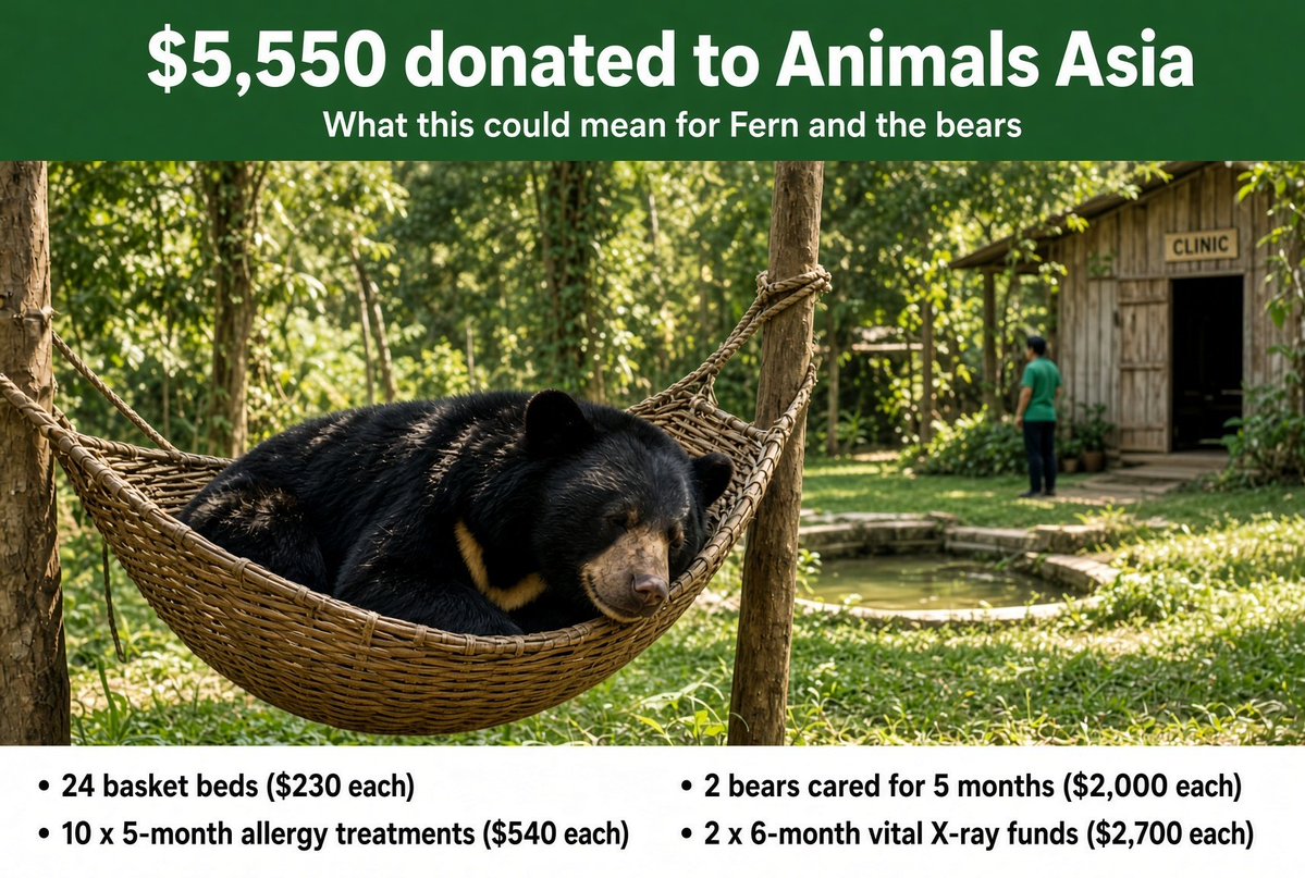 luckyosamu123's tweet photo. The $Fern community was deeply touched by this video posted on the official animal Asia foundation Instagram account and decided to launch a memecoin project to raise funds for the welfare of this moon bear and support the mission against bear bile trade in Asia.

We have raised over $6,200 so far, you can support by joining our community and working with us if you are interested.

CA: BfK1fZuZjcgtxpdKowafwDzFTywdVzyQb5mRYAdHpump

Community: https://t.co/W2ZUbrsGAk