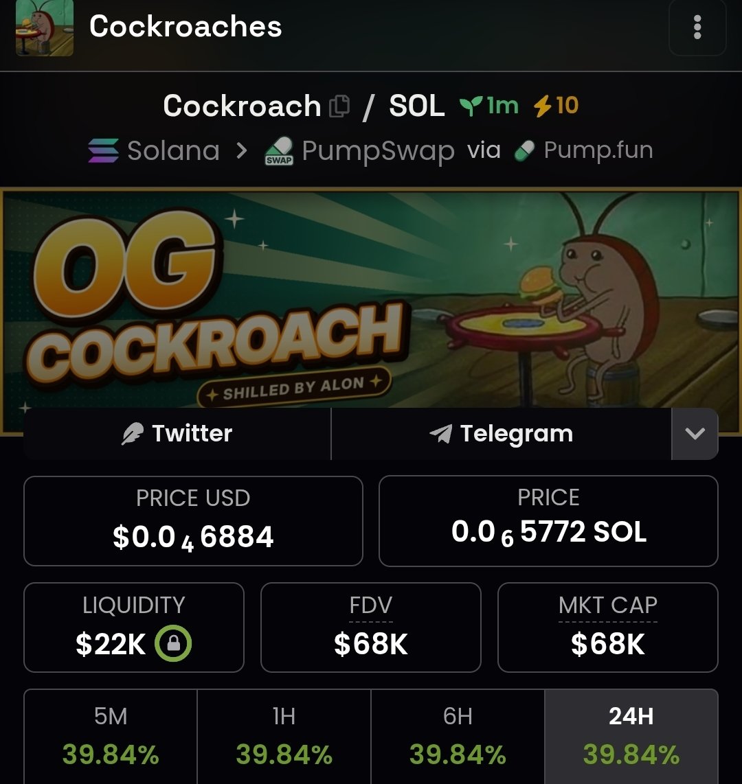 HEROMEMEFINDER's tweet photo. APED IN HERE
$cockroaches OG
ALON HOLDS some 🚨🚨🚨🚨
GtDd9j5kjNBCwsPJ3t4VvdFDiDutiWqL57xjRsmypump
INFOS ON PUMPFUN TO CHECK YOURSELF 🚨🚨
#memecoin #alon #xrp #alonrunner #100x #1000x #memecoins #kol $ALON $SI $AI https://t.co/Ypn6QnOBJi