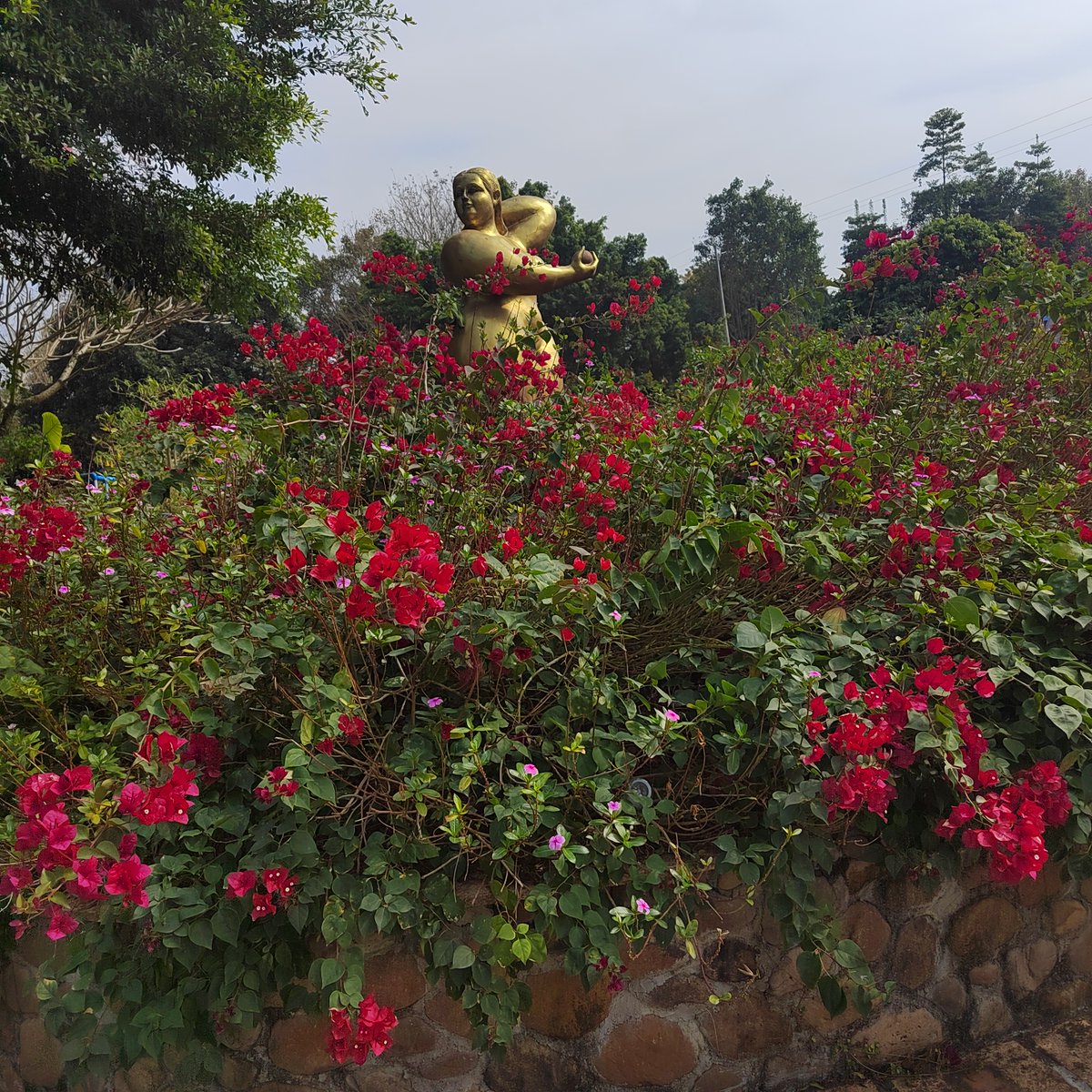 Ztazdy's tweet photo. Exploramos el parque hoy! Mi hijo y yo construimos la mejor casa de arbustos, reímos hasta las lágrimas y encontramos una mariquita roja. Momentos que guardaremos para siempre https://t.co/L2nk0sJs0h