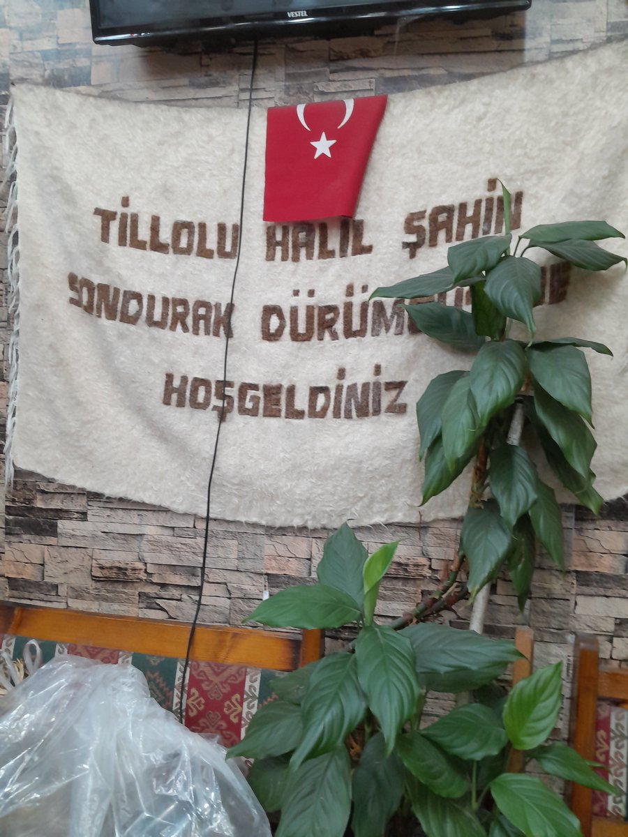 Kader398952's tweet photo. Ben keyfime bakıyor. Sizde vıyvıyvıy😂😂😂 https://t.co/6qco789DZ8