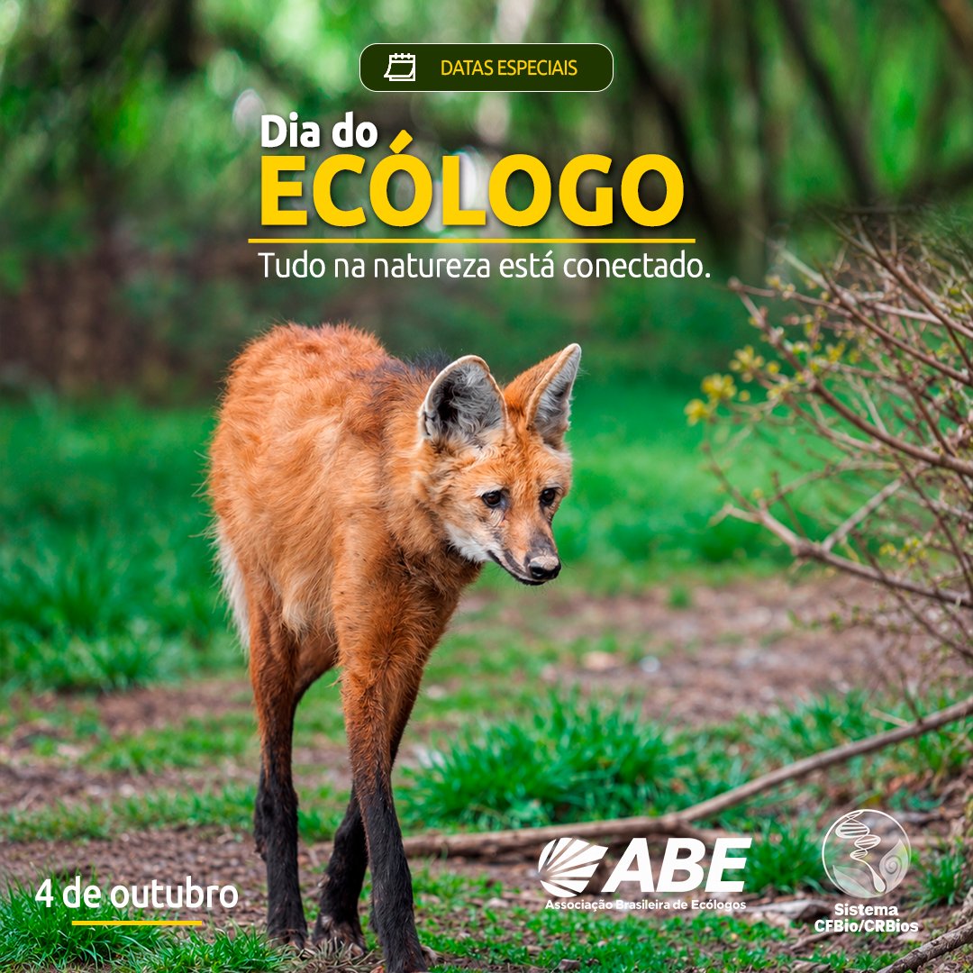 CFBio's tweet photo. 🌿 4 de outubro | Dia do Ecólogo
Tudo na natureza está conectado. 🌱

A Ecologia nos ajuda a compreender as relações entre espécies, ambientes e sociedade, revelando a complexa rede que sustenta a vida.

Na gestão ambiental, nas estratégias ESG e em toda a cadeia da sustentabilidade, o ecólogo conecta ciência, economia e sociedade. Assim, promove um desenvolvimento que respeita a vida e preserva a natureza para um futuro melhor.

Valorizar a Ecologia é valorizar a ciência da vida. 💚

A ciência da vida nos une.