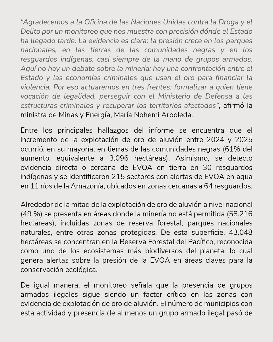 MinEnergiaCo's tweet photo. Nuevos datos revelan la dimensión de la explotación de oro de aluvión en Colombia. 

En 2025 se identificaron 118.410 hectáreas con esta actividad, un 4,5 % más que en 2024.

El informe, elaborado junto con UNODC, aporta evidencia para orientar acciones que protejan el ambiente y las comunidades y fortalezcan la presencia del Estado en los territorios.

Durante la socialización del informe, la ministra @mn_arboleda destacó tres frentes importantes a atender:

⛏️ Formalizar, con rutas viables y acompañamiento para quienes tienen vocación de legalidad.
⛏️ Perseguir las estructuras criminales y cerrar las rutas financieras y comerciales del oro ilícito, fortaleciendo su trazabilidad.
⛏️ Recuperar los territorios afectados y avanzar en la restauración de los pasivos ambientales.

🔗 Conoce los principales hallazgos y las acciones planteadas en el comunicado completo 👇🏼
https://t.co/DCP6Tnq68N