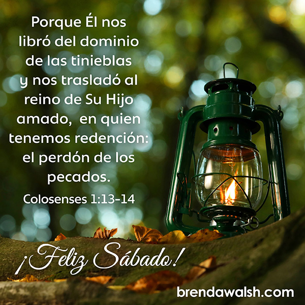brendakwalsh's tweet photo. ¡Feliz Sábado! 🕯️✨ Dios nos libró del dominio de las tinieblas y nos trasladó al reino de Su Hijo amado, en quien tenemos redención y perdón. Disfruta de Su luz y descanso hoy.

#FelizSabado #Colosenses1 #Redencion #DiosEsFiel #DescansoEnDios #FeCristiana https://t.co/RYVAaEG9mO