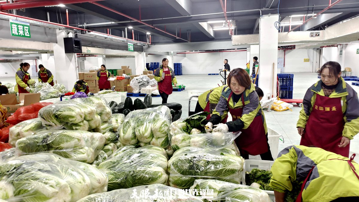 AdelinePenvwvg's tweet photo. Hoy ayudé en el banco de alimentos de la ciudad, empacando comidas para 120 familias necesitadas. Cada pequea acción suma! #Voluntariado #Solidaridad https://t.co/DWFtpBS00w