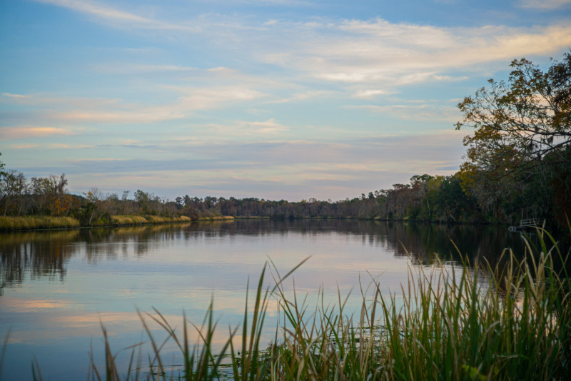 SC_State_Parks's tweet photo. Ramsey Grove State Park is now open to the public as part of a limited soft opening. During this initial phase, park grounds are open Monday through Friday from 8 a.m. to 5 p.m., except during scheduled SCDNR-managed hunts. Plan your adventure at https://t.co/dgnPVf40rV. https://t.co/yLiXyMkpiL