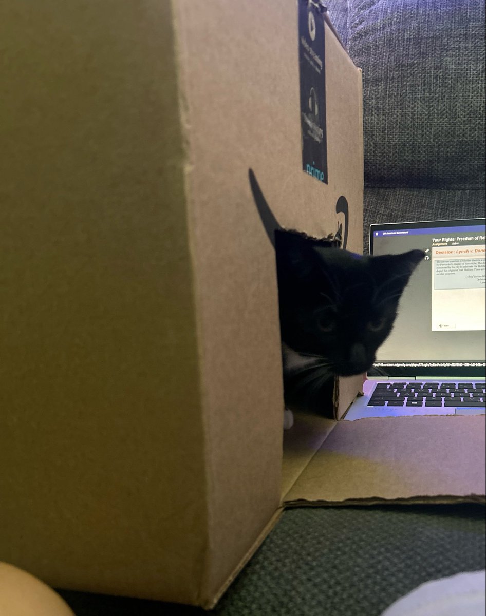 ohioanknight's tweet photo. @CricketthatsCat This is atlas https://t.co/PxwpoAJE5s