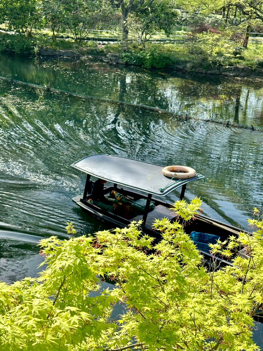 ima00856816's tweet photo. [Spring paddles gently sway, the morning breeze carries a faint, fresh breath of the season, every small thing feels so soft and beautiful]， https://t.co/KtzxOZfELL