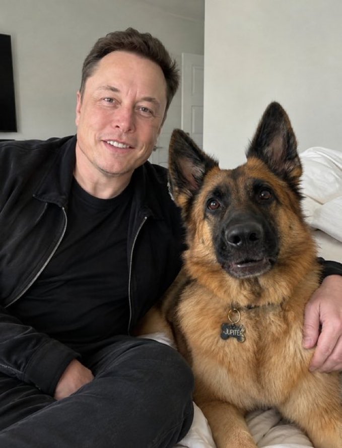 PatrickWitt1's tweet photo. Is owning a pet a human right or a luxury?

1 - ○ Right
2 - ○ Luxury https://t.co/Yjo8EeLlDx