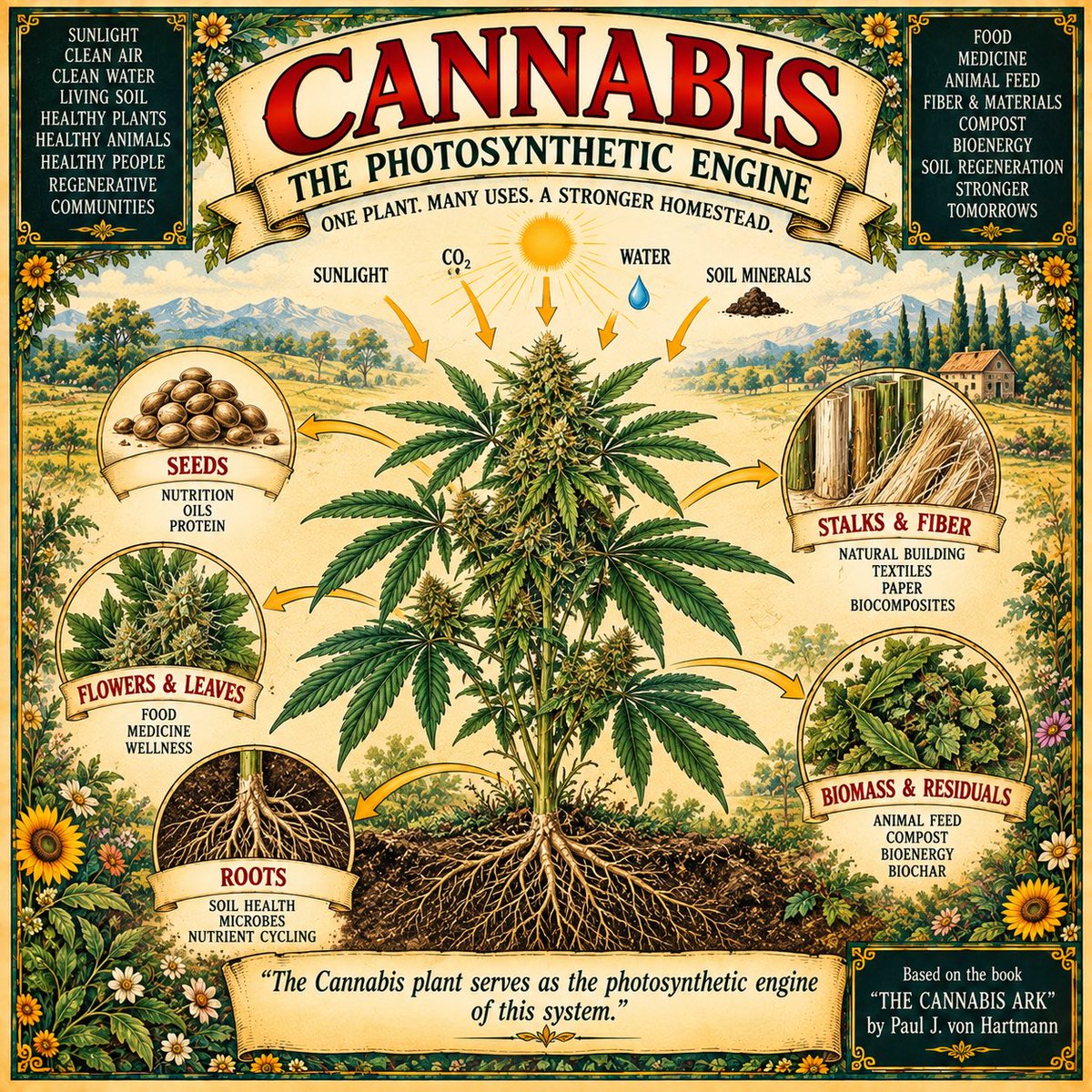 RealGanjaQueen2's tweet photo. CANNABIS: THE PHOTOSYNTHETIC ENGINE
Before Cannabis became a controlled substance, a medicine, a commodity or an investment category—it was a photosynthetic organism.
Sunlight.
Water.
CO₂.
Soil minerals.
Then biology transforms them into…🧵
https://t.co/HfmqEnNQIs https://t.co/SnU2uIzsxx