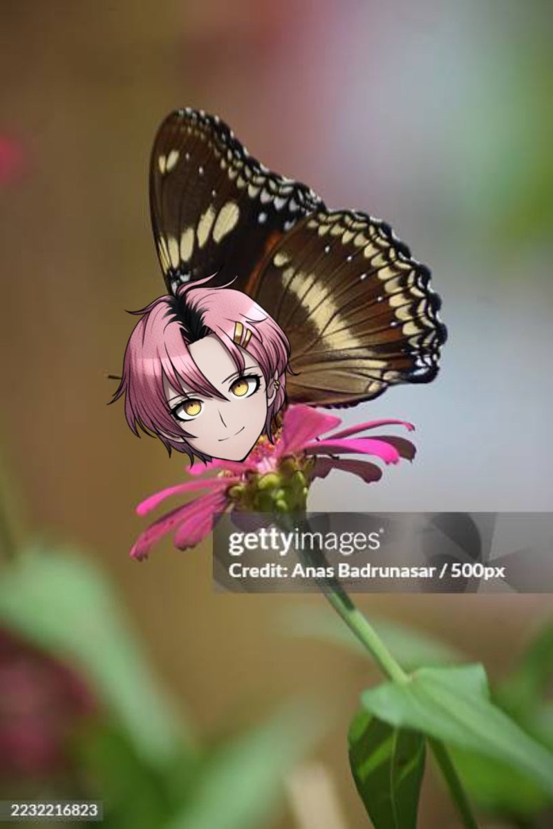 kaimcnteago's tweet photo. Ay, ay, ay, I'm your little butterfly
Green, black and blue
Make the colours in the sky
Ay, ay, ay, I'm your little butterfly https://t.co/nf3waujgHh