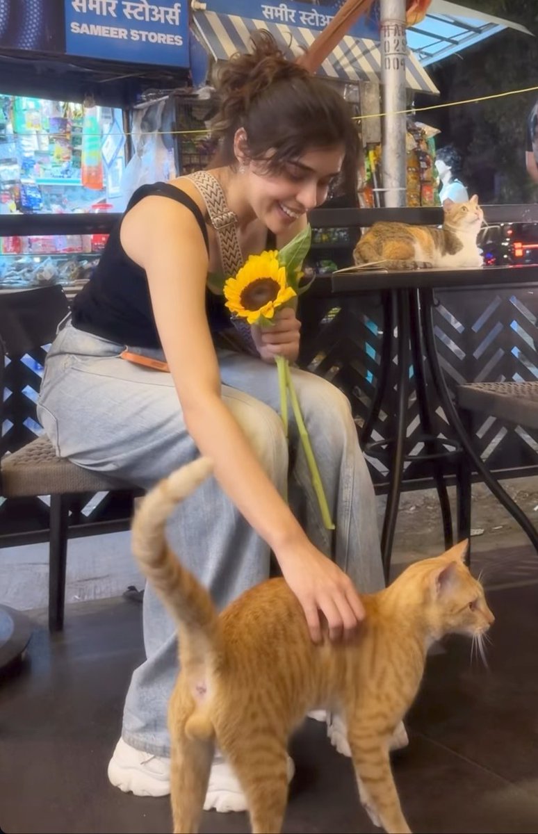 JeekshithaG's tweet photo. Cats, Sunflowers &amp; coffee 🤎! #EishaSingh https://t.co/YvY1MBqr5W