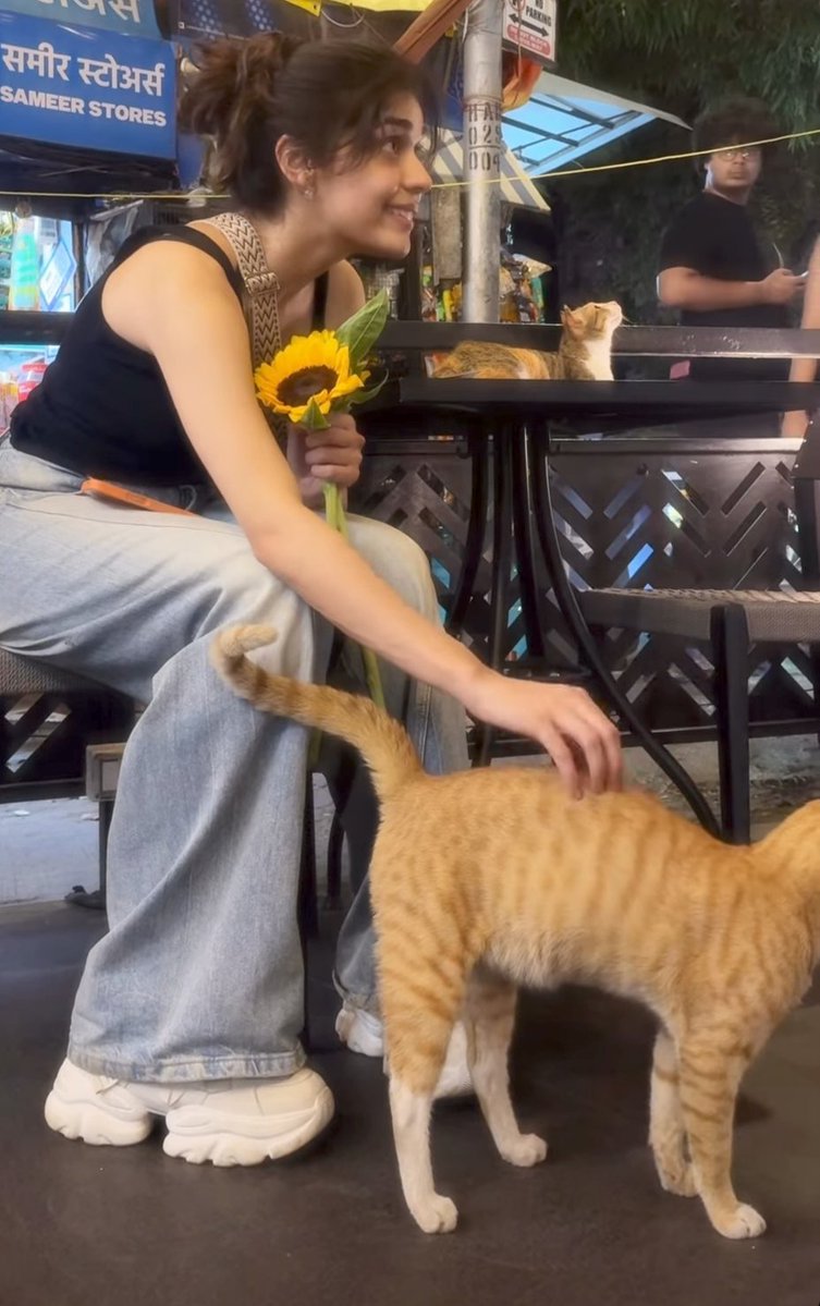 JeekshithaG's tweet photo. Cats, Sunflowers &amp; coffee 🤎! #EishaSingh https://t.co/YvY1MBqr5W