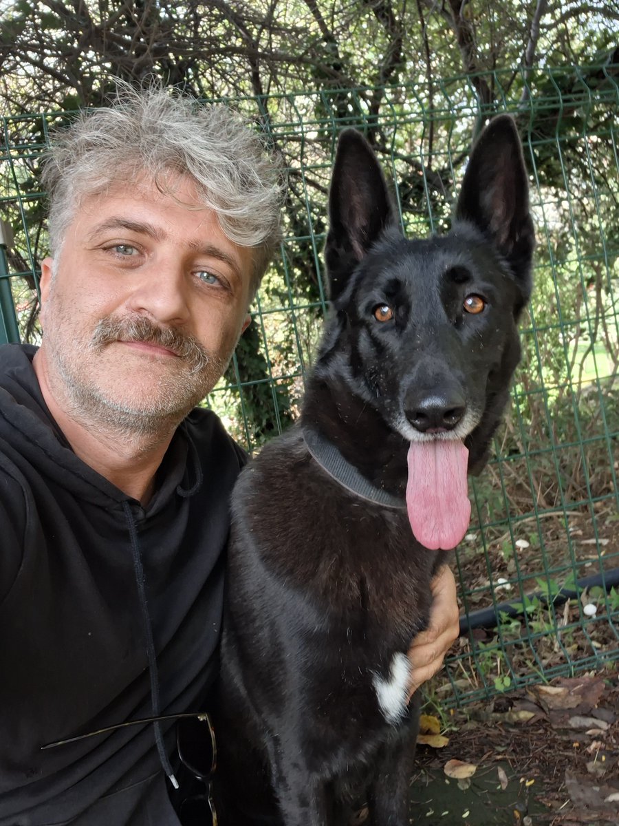 chandlerbingiz's tweet photo. Barınaktan kurtardığımız bu kıza ömürlük yuvasını arıyoruz. 
4-5 yaş civarı kısır. Çok uyumlu, sosyal,  insancıl. İstanbul. https://t.co/2uYKaXORnC