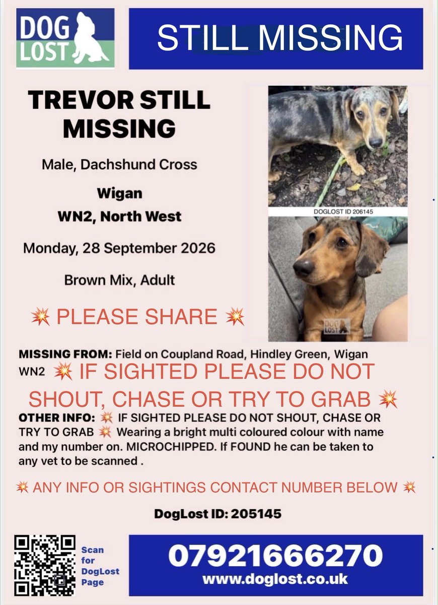 millypod1's tweet photo. 🆘28 SEPT 2026 #Lost Trevor #ScanMe #STOLEN??
Dachshund Cross Male #SausageArmy 
Nervous Dog (do not chase) #STILLMISSING
Coupland Drive #HindleyGreen #Wigan #GreaterManchester #WN2 https://t.co/0l0v2D32xI https://t.co/PA5wQlOUa8