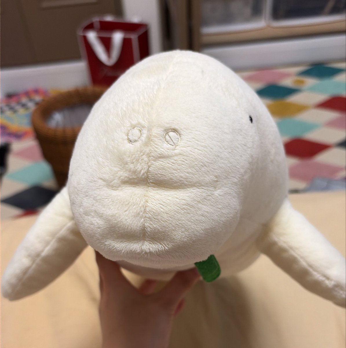 ama__ika's tweet photo. 酔っ払いですにょ〜
おうちのぬいぐるみを紹介します！

⭐︎セレナさん⭐︎
鳥羽水族館にいるジュゴンのぬいぐるみさん、草を食べていてかわいいです
抱っこしてうろうろするのにちょうどいいサイズ感、やさしいです https://t.co/G0hHzqhujn