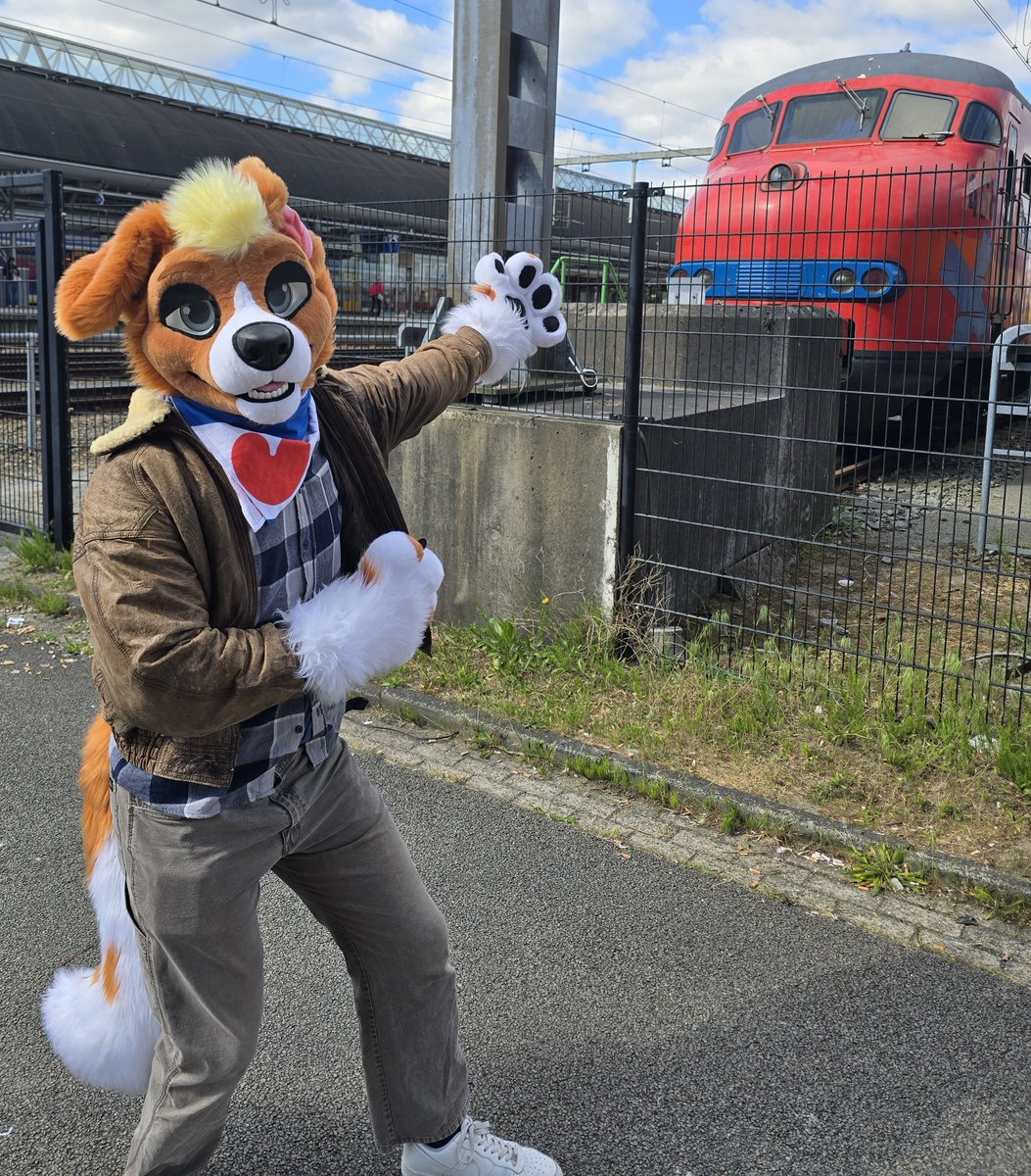 JanDeFloep's tweet photo. Welkom in Amersfoort Centraal!

Here in the Mat '64! The former workhorse of Nederlandse Spoorwegen. This set here belongs to De Karel Foundation! Who restored this Mat '64 for charity!

Fursuit by: @AlphaDogsStudio
Picture by :@Gerryperiod

#FursuitFriday https://t.co/UL1LB0d2JJ