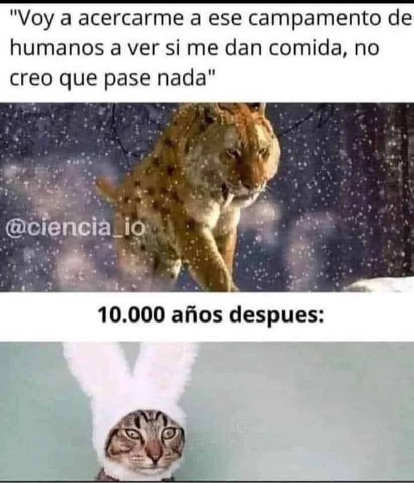 lostwithdragons's tweet photo. Y así fue 😂 😂 😂 😂 https://t.co/fgFigLXOWr