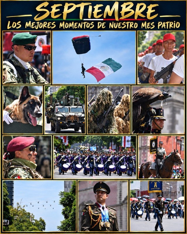 GnMexa's tweet photo. Septiembre en imágenes 📸🇲🇽
Un mes para celebrar nuestra historia, nuestras tradiciones y ese orgullo que llevamos en el corazón.
 México se vive y se siente. ❤️🤍💚
#SeptiembreEnImágenes #MesPatrio #México #OrgulloDeMéxico #HéroesTricolor https://t.co/zdXmBISfwL