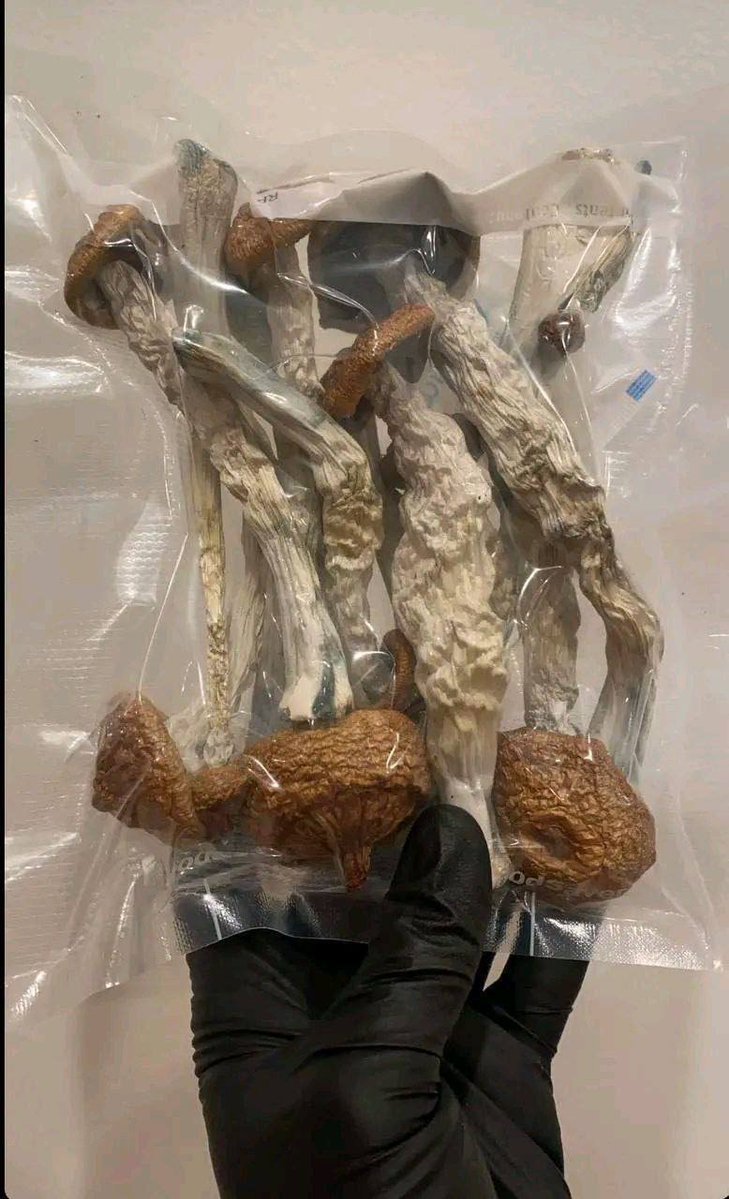 Darius_buds420's tweet photo. Shrooms Available 💯

☎️ Order on https://t.co/hInMyNg33V

Whatsapp +1 (518)932-6815
#weedstore #plug #shroomstore #zaza #weed https://t.co/puKl987HsC