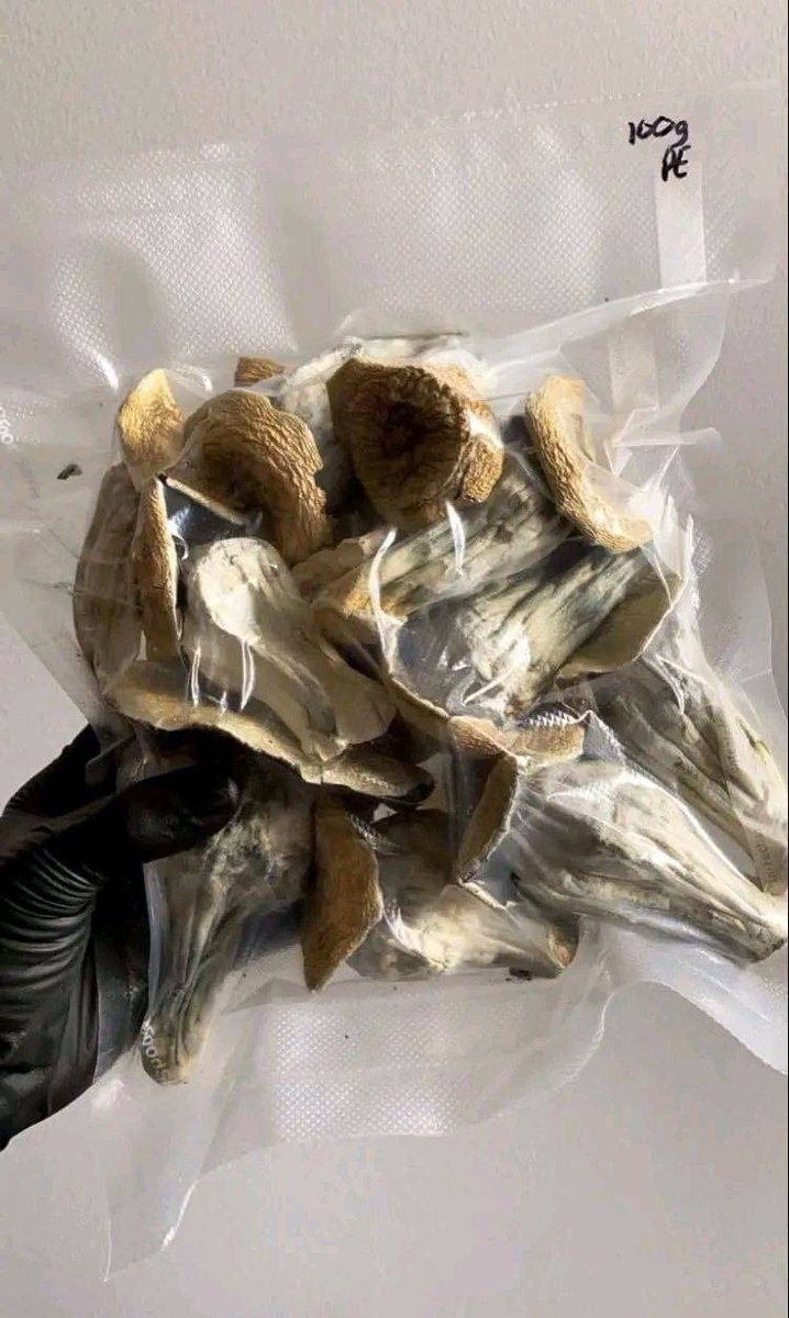 Darius_buds420's tweet photo. Shrooms Available 💯

☎️ Order on https://t.co/hInMyNg33V

Whatsapp +1 (518)932-6815
#weedstore #plug #shroomstore #zaza #weed https://t.co/puKl987HsC