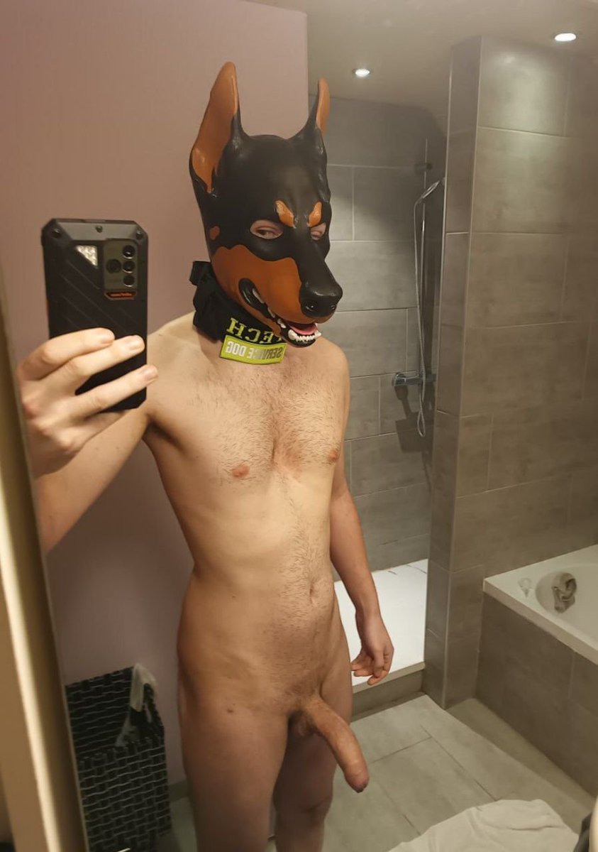 tech_rooad's tweet photo. You said you wanted a dog , i think it needs attention ;3 https://t.co/70TbOZOJsW