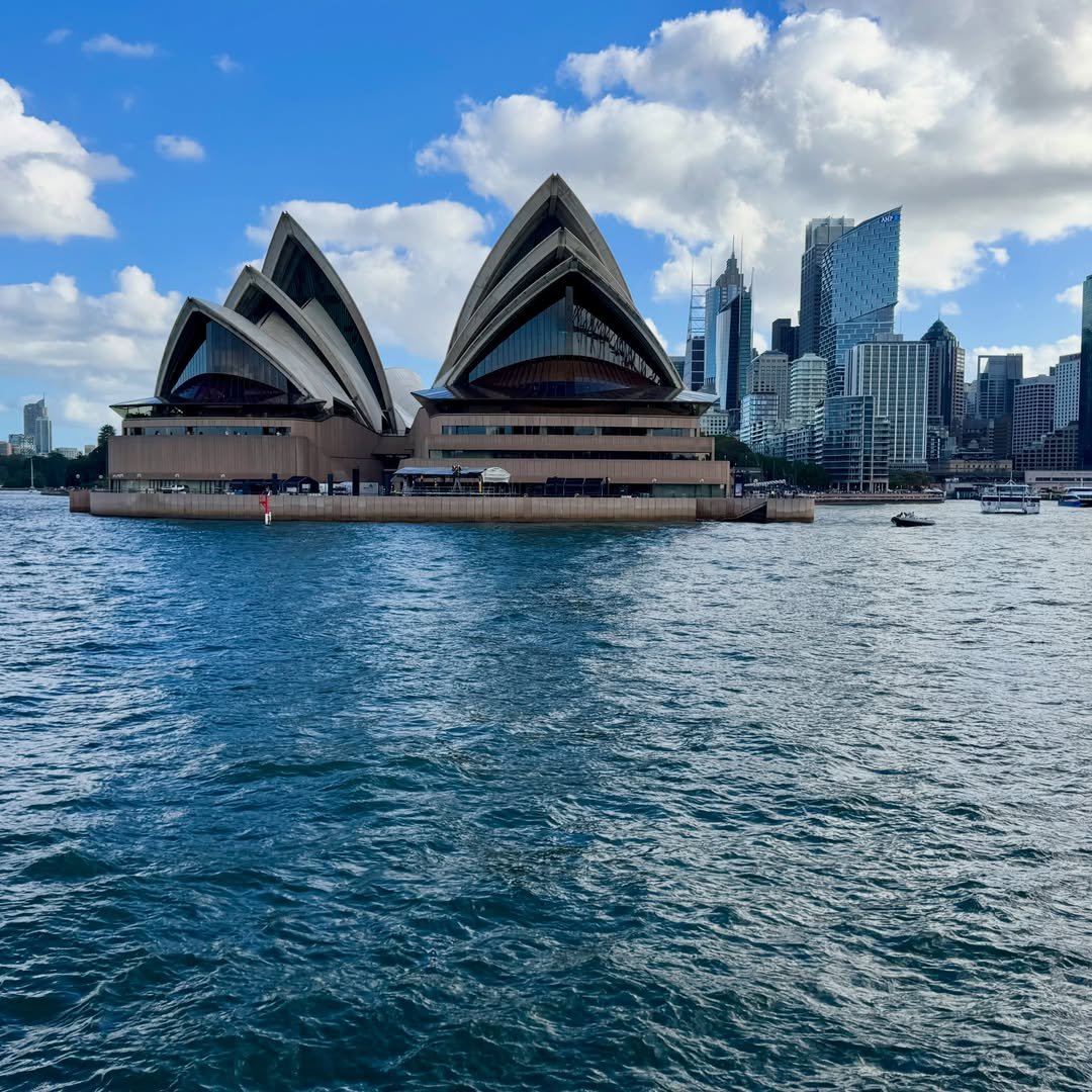 NatureRoot88's tweet photo. Sydney Australia https://t.co/91HrMcWAtN