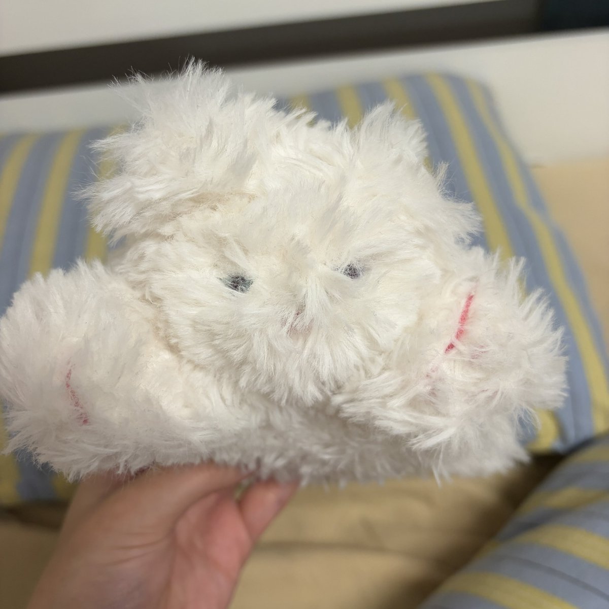 ama__ika's tweet photo. ぬいぐるみ紹介
⭐︎かーにゃ
お母さんが作ってくれたぬいぐるみ、悲しい気持ちの時はだっこして寝ます。ふかふかで寂しがり屋 https://t.co/Hlf64Gspa6