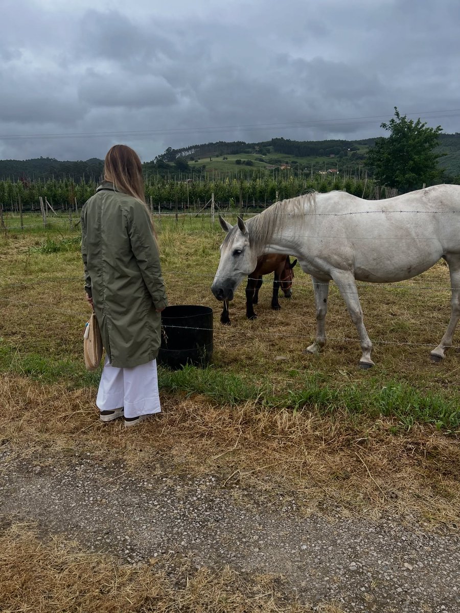 chantalracing's tweet photo. Healing walks with an outfit perfect for the area… sometimes it’s warmer, other times there’s a light drizzle and a breeze… 

Kisses flavored with whatever you want, but slow. https://t.co/yxNitDaBP2