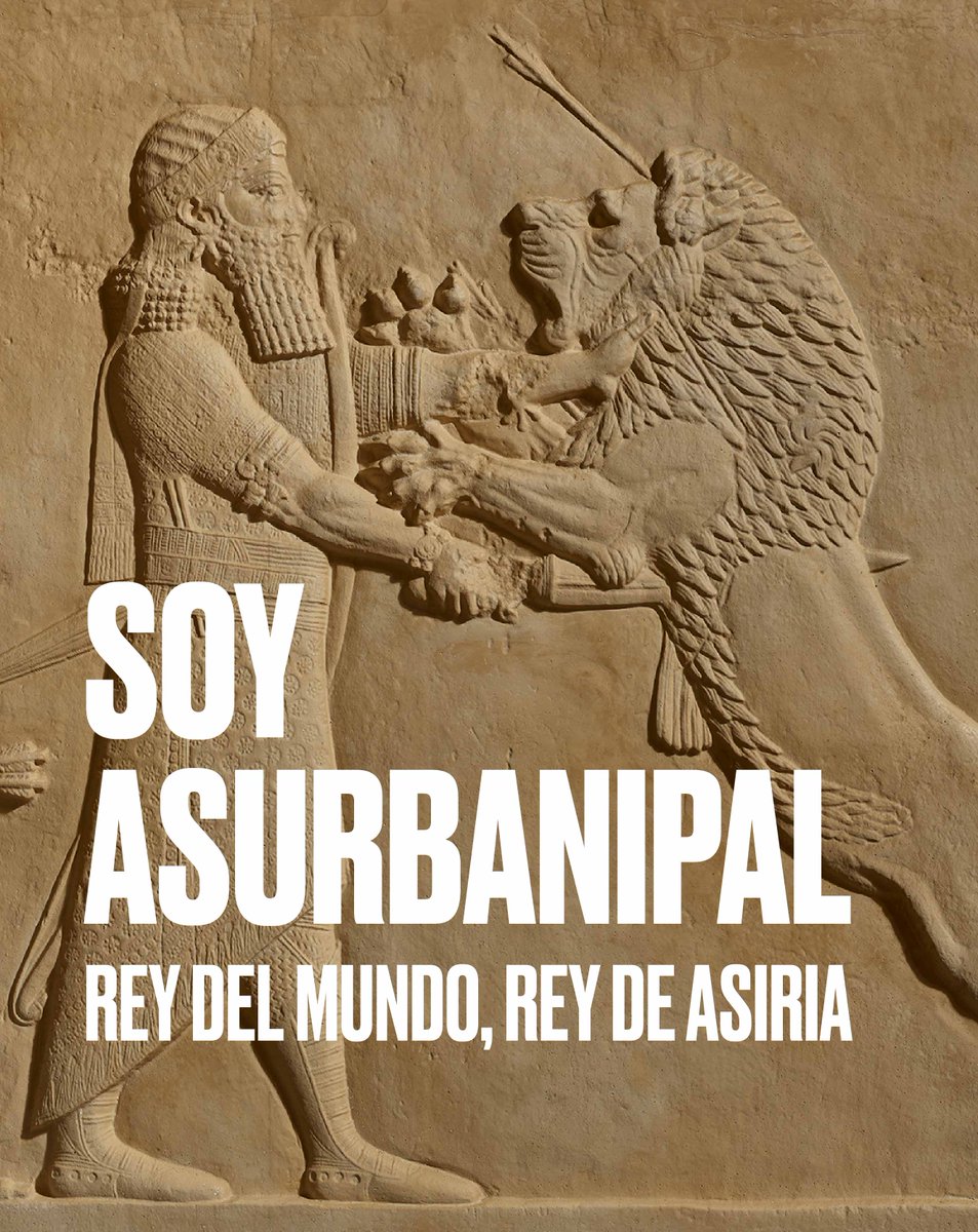 SinusoidalXY's tweet photo. Último fin de semana para ver esta exposición. No me explico que no se haya hablado más de ella porque es impresionante y no creo que se hayan visto piezas como estas nunca en España y dudo que vuelvan a verse en mucho tiempo.  En Caixaforum Madrid. https://t.co/7r1uv4RbiT